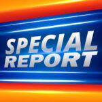 special report